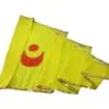 Jagannath-Temple-Patitapabana-Flag