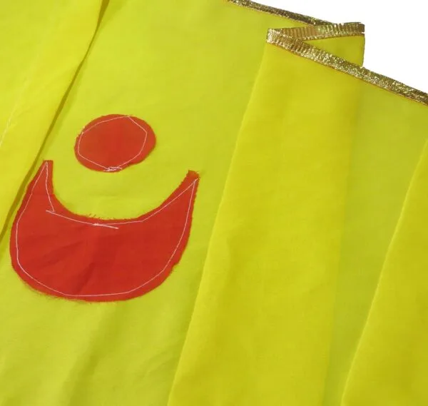 Jagannath-Temple-Patitapabana-Flag-Dhwaja-Pataka