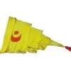Puri-Jagannath-Temple-Flag