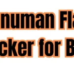 Hanuman Flag Sticker for Bike